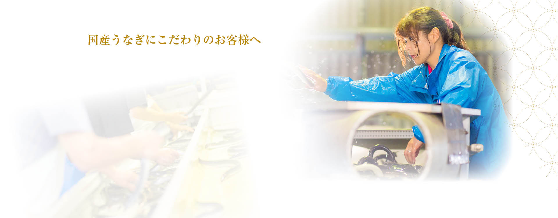 国産うなぎにこだわりのお客様へ